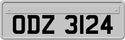 ODZ3124