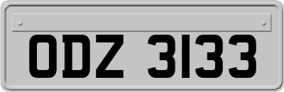 ODZ3133