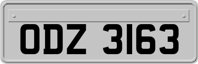 ODZ3163