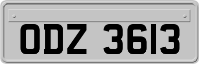 ODZ3613