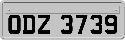 ODZ3739
