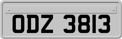 ODZ3813