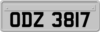 ODZ3817