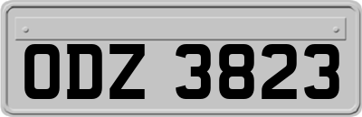 ODZ3823