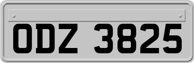 ODZ3825