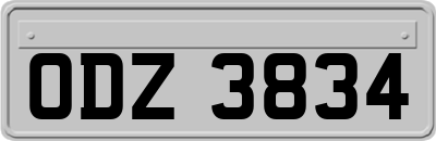 ODZ3834