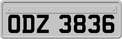 ODZ3836
