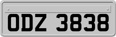 ODZ3838