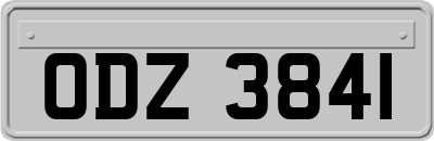 ODZ3841