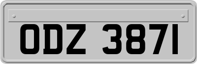 ODZ3871