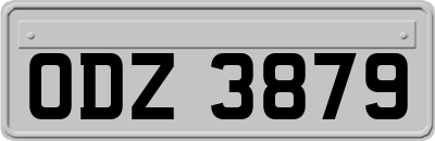 ODZ3879