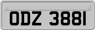 ODZ3881
