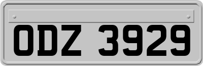 ODZ3929