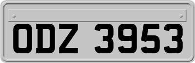 ODZ3953