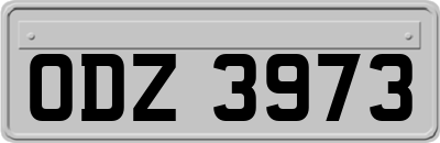 ODZ3973