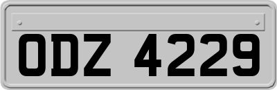 ODZ4229