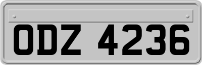ODZ4236