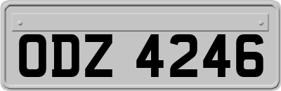 ODZ4246