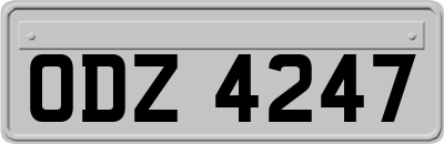ODZ4247