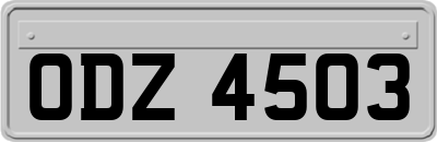 ODZ4503