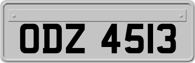 ODZ4513