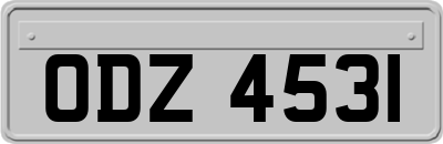 ODZ4531
