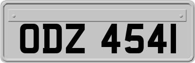 ODZ4541
