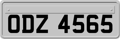 ODZ4565