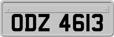 ODZ4613
