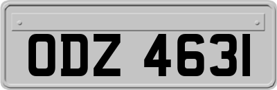 ODZ4631