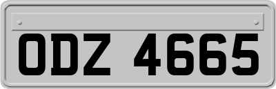 ODZ4665