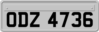 ODZ4736
