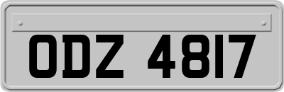 ODZ4817