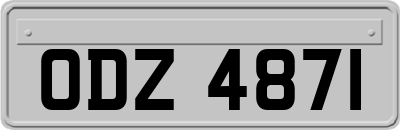 ODZ4871