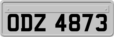 ODZ4873