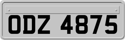 ODZ4875