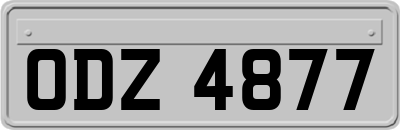 ODZ4877