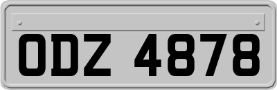 ODZ4878