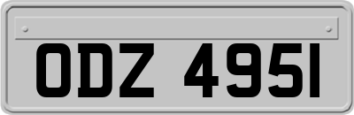 ODZ4951