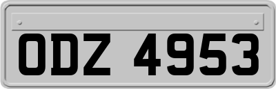 ODZ4953
