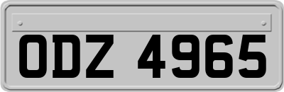 ODZ4965