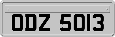 ODZ5013