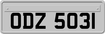ODZ5031