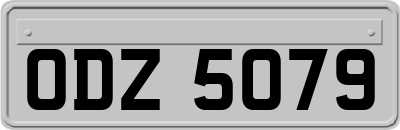 ODZ5079