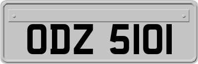 ODZ5101