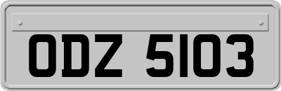 ODZ5103