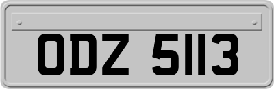 ODZ5113