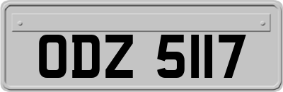 ODZ5117