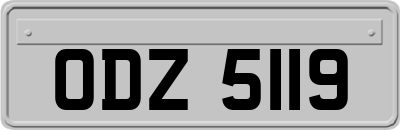 ODZ5119