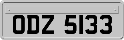 ODZ5133